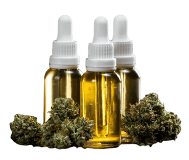 Three glass dropper bottles of golden CBD oil with dried cannabis flower buds against a black background.