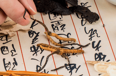 Ayurveda und TEM als Abnehm-Unterstützung