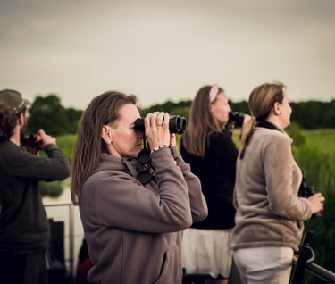 A group of people birdwatching outdoors with binoculars in a scenic nature reserve.