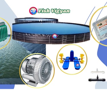 About Us – Empowering Sustainable Growth Through Expert Fish Farming Solutions