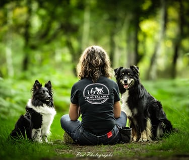 Virginie de Viens Balader mon chien assise avec les chiens en forêt