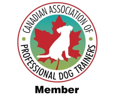 CAPDT logo.