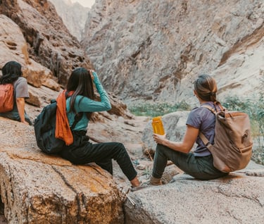 a group of people sitting on a rock with backpacks