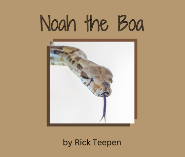 Noah the Boa Book Cover