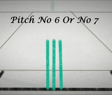 cricket-world-cup-pitch-issue