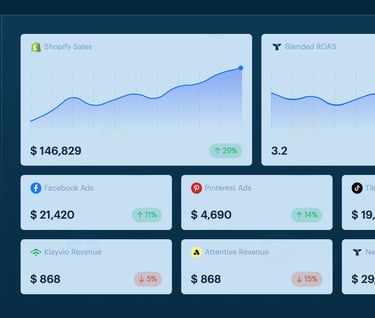 digital marketing triple whale dashboard