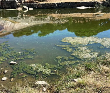 fosforo nitrogeno nutrientes decreto 90