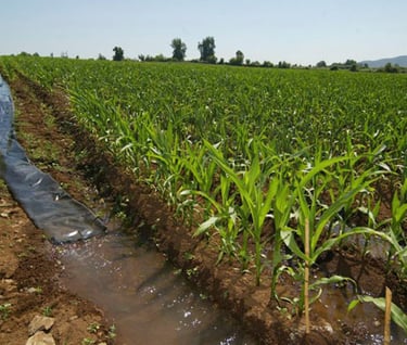 SST solidos suspendidos grasas y aceites Decreto 90