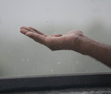 Het stappenplan morele Kring - voelen en erkennen