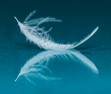 Zorg, verbinding en rust bij morele resonantie werkvorm.