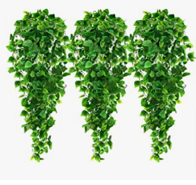 a set of three hanging plants with green leaves