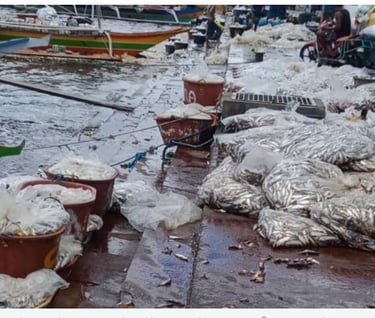 a bunch of fish in a river with people standing around