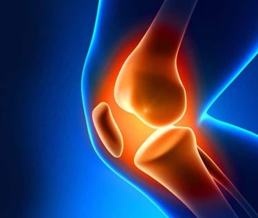 3d animation of knee structure