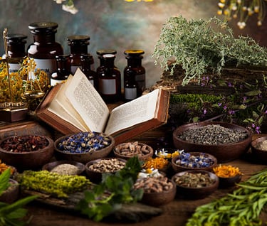 a variety of herbs and herbs in a variety of different sizes and shapes