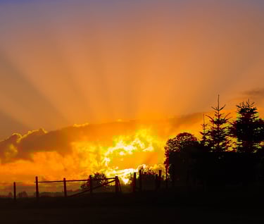 a sunset with a bright orange sunbeams and a bright orange sky