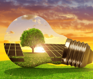 Say Goodbye to Electricity Bills and Hello to Outdoor Solar Lighting