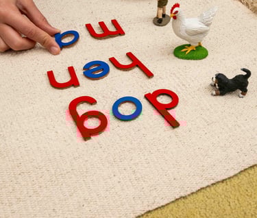 A magical step into writing - the Montessori Moveable Alphabet