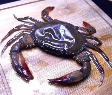 Fresh soft-shell crab placed on a wooden cutting board, ready for cooking.