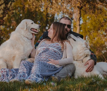 famiglia con donna incinta e due cani sul prato