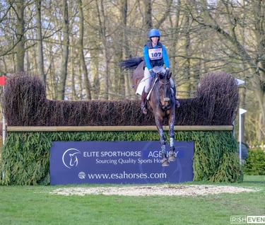 Equine-X rider ambassador and user of CONNEXION horse supplement