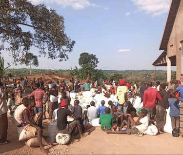 braccianti nei campi di caffè in Uganda durante il raccolto