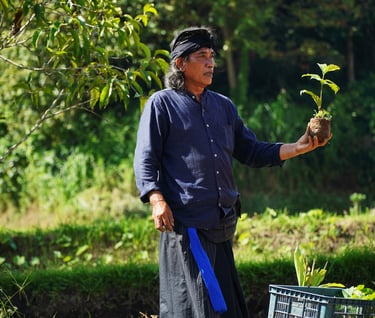 about Bali farming