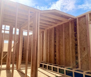 Tiny home with only walls framed up