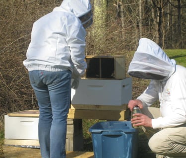 Beehive installation 2014, Damariscotta Mills