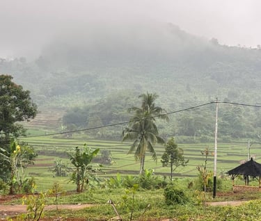 nuansa alam golden view