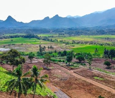 nuansa alam golden view