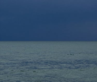 A minimalist landscape showing a calm sea at dusk, with the horizon line separating a deep blue #1A2D3A sky and a sage #91AA9D water surface. It represents the peace found after a long journey of overcoming challenges.