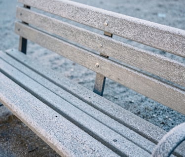 A detail shot of a park bench in a North American city, covered in a light layer of morning frost. Soft blue-grey and off-white tones. Minimalist, quiet, and contemporary.
