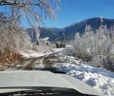 picture over the hood of a truck to a road with snow and ice covered trees. There is a large broken tree limb on the road
