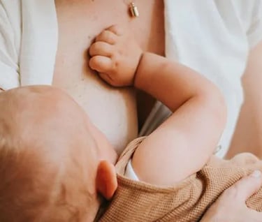 Accompagnement allaitement maternel, montbrison, Dugay Emilie