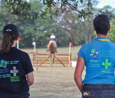 photo entreprise photographie veterinaire