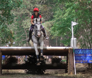 photo entreprise photographie veterinaire