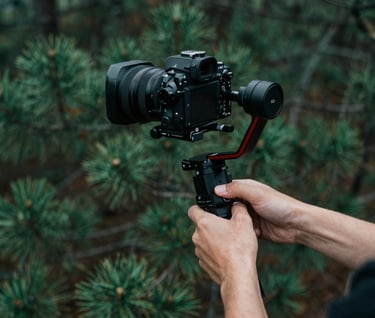 A top-down professional shot of a videographer's hands adjusting a stabilizer, with the deep green of a pine forest visible in the soft-focus background, incorporating #4C6A65 and #1A2F3C for a mood of artistic focus.