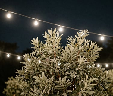 Evening outdoor reception with subtle sage green foliage. String lights create a soft glow against the dark charcoal night sky. A warm, inviting, and refined atmosphere.