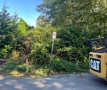 Bushes and bramble about to get cleared out by a machine