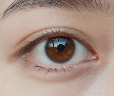 A vertical photograph showing a close-up of a human eye reflecting a landscape, captured in a soulful, artistic style with soft cream and taupe tones.