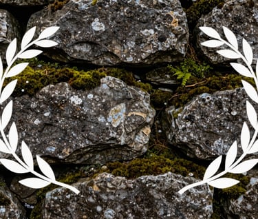 A close-up of a rustic stone wall with moss growing in the crevices, highlighting natural textures and ebony shadows.