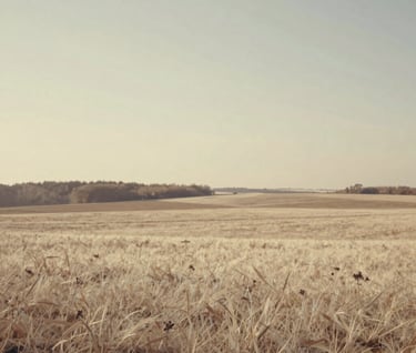Photography of an impressionist landscape painting. The scene depicts an open field under a warm sun, with colors transitioning from pale cream to earthy taupe. The composition feels airy and light.