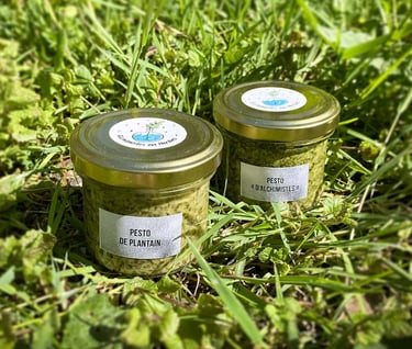 pots de pesto artisanaux et naturels, posé sur l'herbe