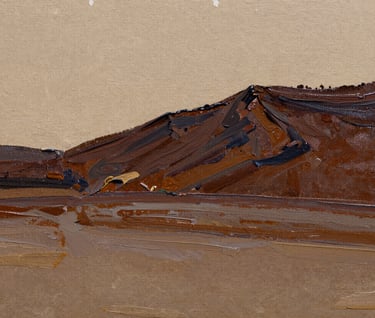 A photo showing the texture of a high-quality artist's canvas and the detail of oil paint layers in beige and dark brown colors.