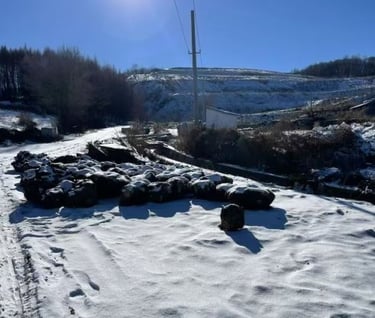 maple burl wood stabilized wood blocks for wood handles