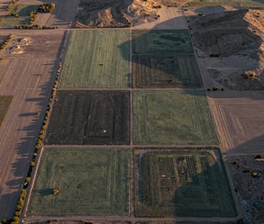 An aerial drone photograph looking straight down at the geometric patterns of a rural Nevada land plot. The textures of the earth and sparse vegetation create a natural mosaic of sage green, charcoal, and sand. The lighting is golden hour, casting long, dramatic shadows. North American / US - Northeast Nevada.