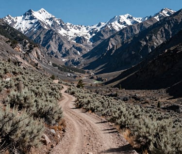 A panoramic view of a mountain valley in the North American West. The composition follows the rule of thirds, with a winding dirt track leading the eye towards snowy peaks. The lighting is clear and crisp, highlighting the textures of the sagebrush and the deep charcoal shadows of the valleys.