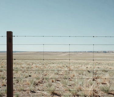 A ground-level photograph looking through a wire fence post toward a wide horizon in Northeast Nevada. The focus is sharp on the horizon line, conveying the sense of boundary and ownership. The sky is a pale, clear blue, and the land is a mixture of parchment and sage colors. North American / US - Northeast Nevada.
