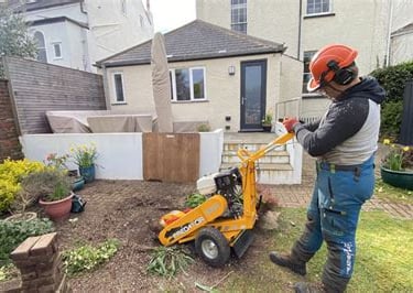 Retford tree stump removal