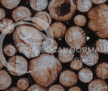 une pile de bûches en bois avec un fond en bois